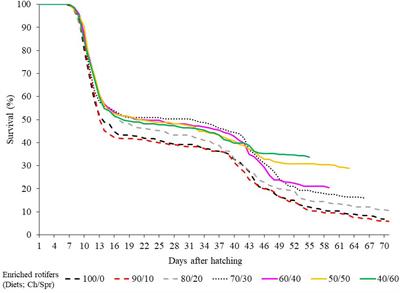 Larval development of the blue crab Callinectes sapidus: effect of enriched rotifers as live food